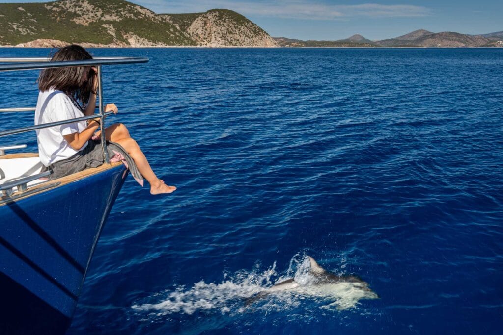 Private vs. Group Cruises in Milos: How to Choose the Perfect Experience 7 Photograph 42 daily tours milos